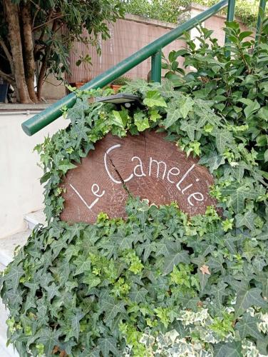  Le Camelie in Ariccia