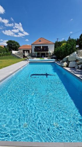 Swimming pool, Trifecta Udvarhaz in Tallya
