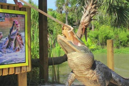 King Bed and Modern Home sleeps 8 in Kissimmee, USA