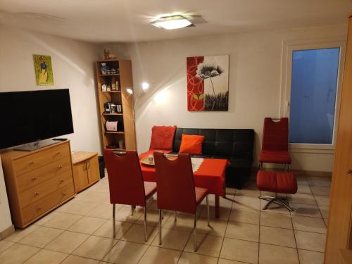 Studio in the private house - Apartment - Geneva