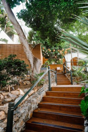 Κήπος, The Pink Palm Hotel - Adults Only in Σάρλοτ Άμαλι