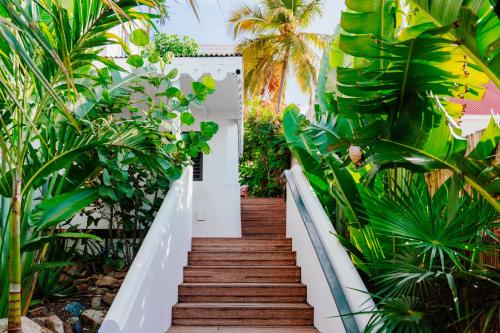 周邊環境, The Pink Palm Hotel - Adults Only in 夏洛特阿馬利亞