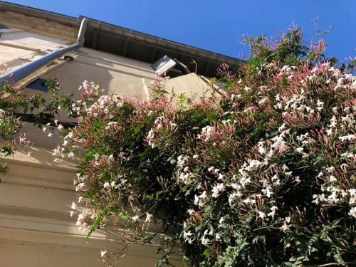 maison avec tropezienne - Location saisonnière - Arles