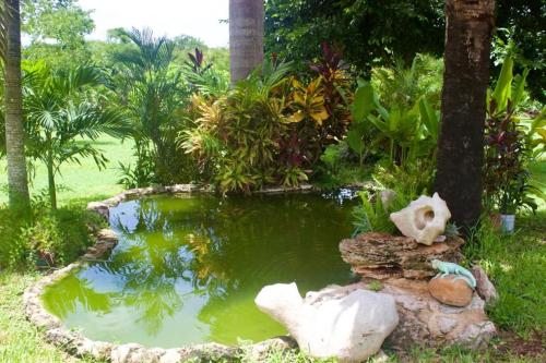 Comfortable House in Tizimin with Swimming Pool in Tizimín, Mexico