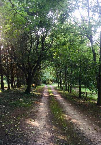 Pommernhof Pommernhof