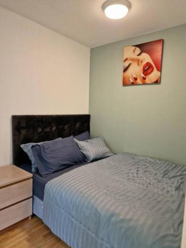 Demims Apartments Lorenskog - 15mins to Oslo, close to Ahus & SNØ - parking available