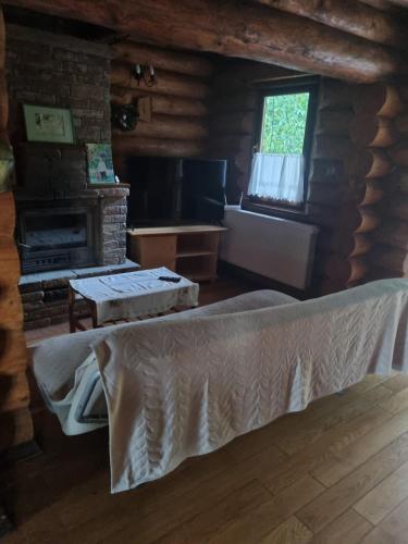 Cabana Haiducului in Soveja
