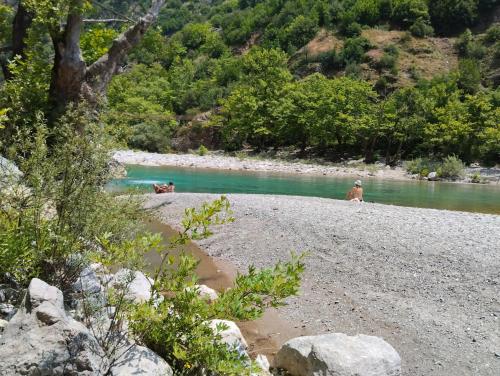 ΔΙΑΜΈΡΙΣΜΑ ΜΈΣΑ ΣΤΑ ΈΛΑΤΑ