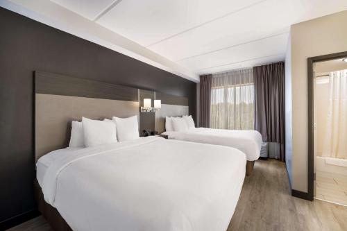 Comfort Suites Northlake - image 11