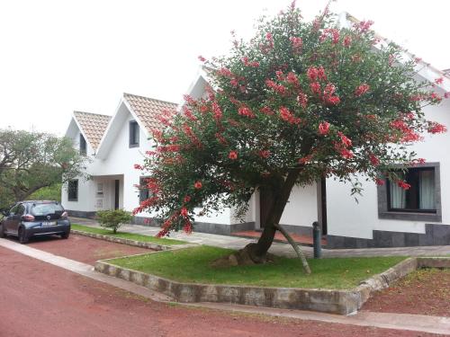 Apartamentos Turisticos Nossa Senhora Da Estrela