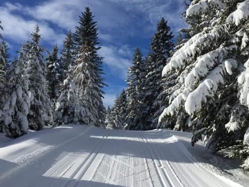 Maisonnette charmante avec piscine commune et terrasse privée en Cantal - FR-1-742-484 Maisonnette charmante avec piscine commune et terrasse privée en Cantal - FR-1-742-484