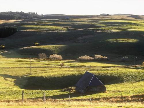 Maisonnette charmante avec piscine commune et terrasse privée en Cantal - FR-1-742-484 Maisonnette charmante avec piscine commune et terrasse privée en Cantal - FR-1-742-484