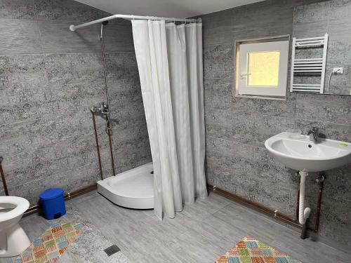 Casa Danut, Vidra (zdjęcie 6)