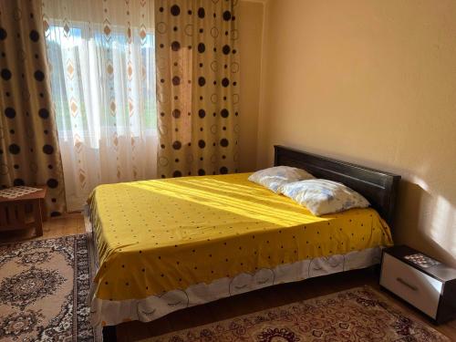 Casa Danut, Vidra (zdjęcie 3)