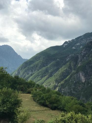 Marash Rrgalla Guesthouse