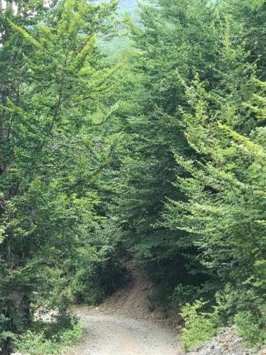 Marash Rrgalla Guesthouse