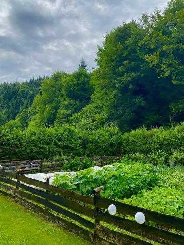 扎科帕内 Agroturystyka SKALNE 4星级 民宿 设施