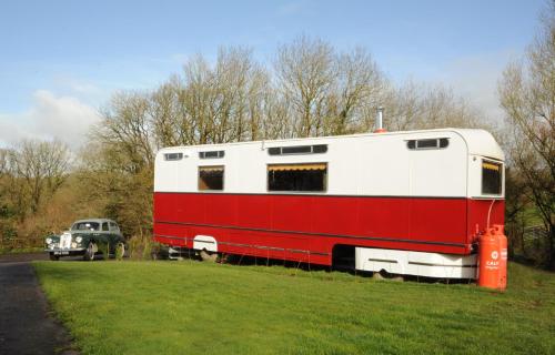 Priscilla Queen Of Devon