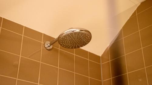 Schaluinenhoeve - image 5