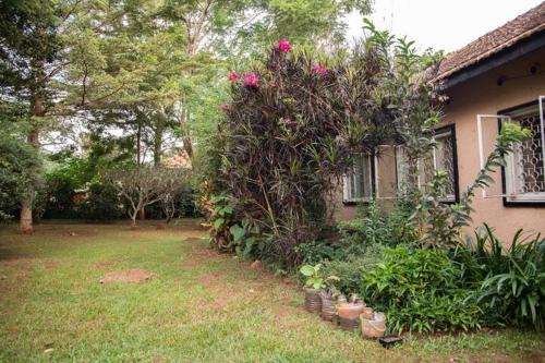 Nice & quiet house