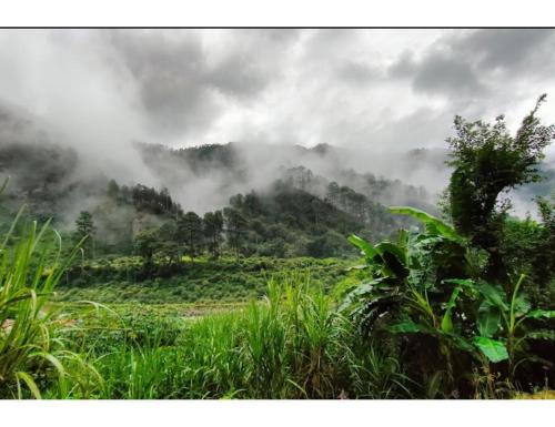 Sravasti Inn Homestay, Uttarkashi