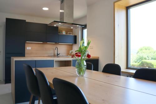 virtuve, Garden Villa in Stanjel