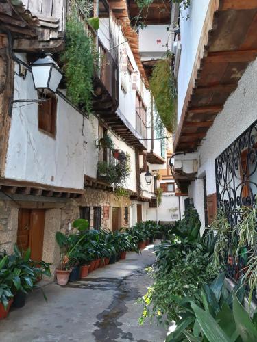 Tuvākā izklaides vieta, Apartamento Atalantar in Villanueva De La Vera