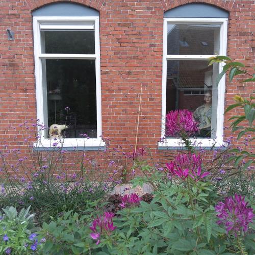 Bed & Breakfast Appartement 't Haventje, Ezinge (zdjęcie 4)