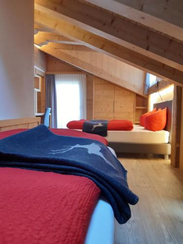 Al Sole B&B Valcomelico 5