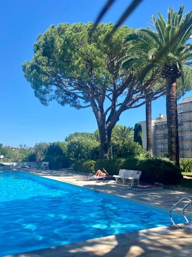 Studio à Golfe Juan, terrace, piscine, près plages