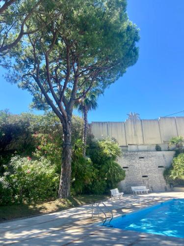 Studio à Golfe Juan, terrace, piscine, près plages