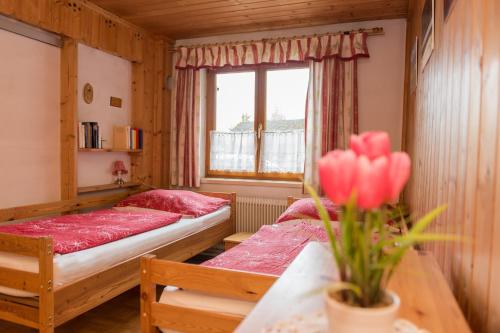 Katschwaldhütte (Katschwaldhutte) in Sv. Volfganga