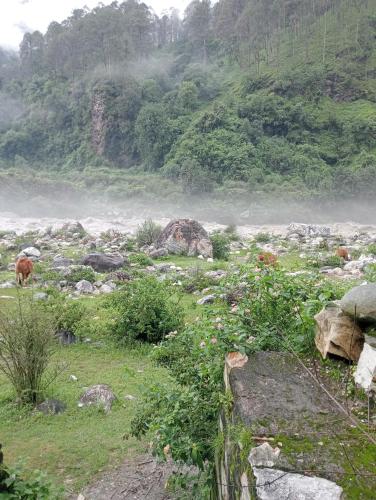 Aswal Home Stay and Resorts