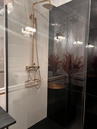 Deluxe Apartment image 10