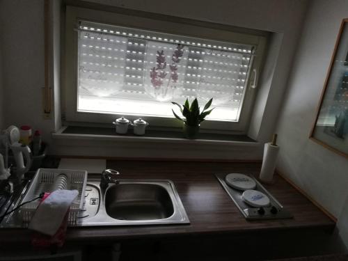 Ferienwohnung Holl in 沃爾姆斯市中心
