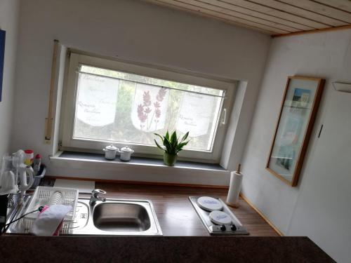 Ferienwohnung Holl in 沃爾姆斯市中心