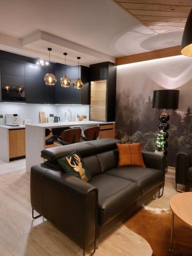 Kitchen, Apartament SMRECEK na Pajakowce in Slodyczki