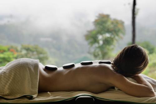 Madulkelle Tea and Eco Lodge