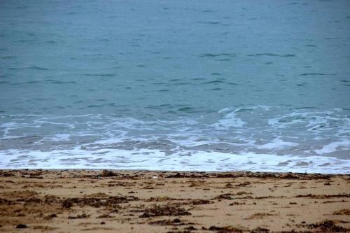 Beach apartment overseeing the sea