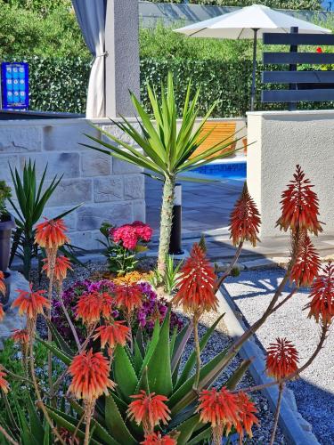 Casa Bella, Split (photo 4)