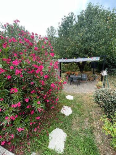 Skats, Appart T2 au Vernet d'Ariège avec jardin privatif (Appart T2 au Vernet d'Ariege avec jardin privatif) in Montaut (Midi-Pyrenees)