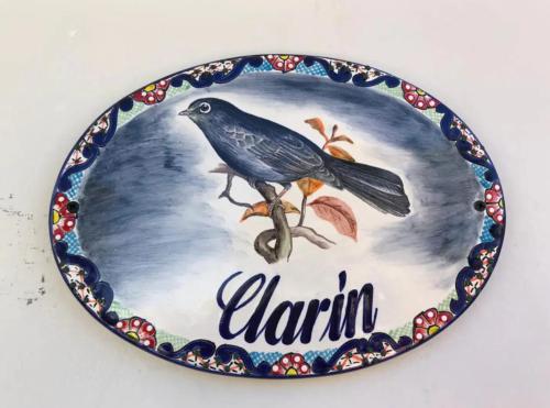 Casa Matia Bed and Breakfast in San Miguel de Allende, Mexico