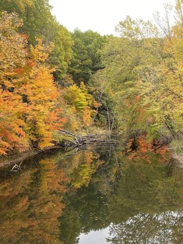 Pet Friendly! And Your Cozy Lakeside Retreat in Glenn, USA