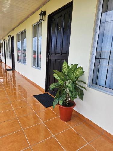 Volcano View Apartments, Fortuna (photo 10)