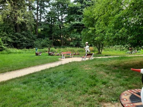 Omgeving, Apartmány Waldex (Apartmany Waldex) in Jetrichovice U Decina