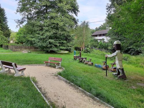 Omgeving, Apartmány Waldex (Apartmany Waldex) in Jetrichovice U Decina