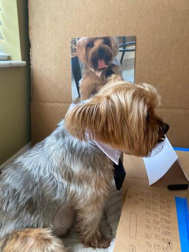 Spotless guest room with shared bathroom Spotless guest room with shared bathroom