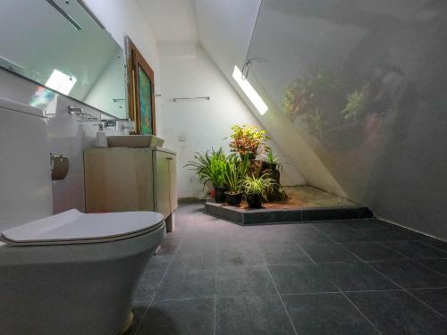 Double Room with Garden View image 2