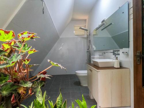 Double Room with Garden View image 4