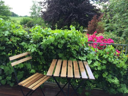 Luxussuite mit Steinway-Flügel